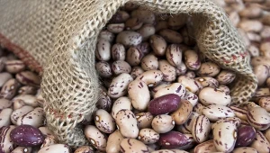 Fasola pinto ma charakterystyczne cętki. Spróbuj jej zamiast np. fasoli czerwonej