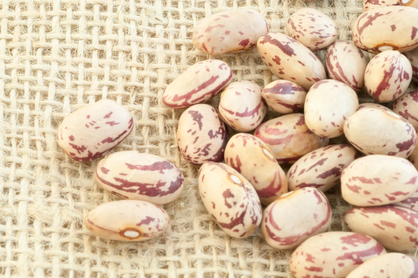 Fasolę pinto warto włączyć do diety Fasolę pinto warto włączyć do diety