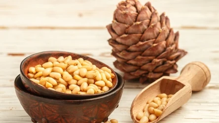 Dlaczego warto jeść orzechy pinii? 