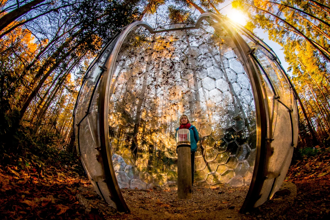Leśne Molo w Starym Sączu to dobre miejsce na spacer dla całej rodziny. Czekają tam między innymi szklane kule, do których można wejść. 