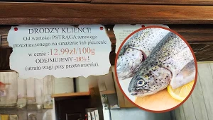 Restauracja przyznaje rabat za utratę wagi ryby po jej obróbce