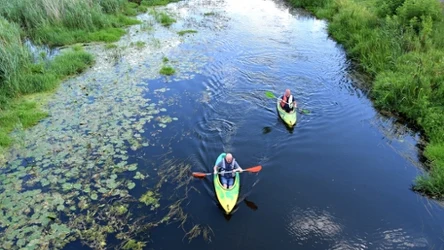 Gdzie wybrać się na kajaki z dziećmi? 