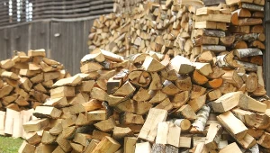Ile kosztuje drewno opałowe? 