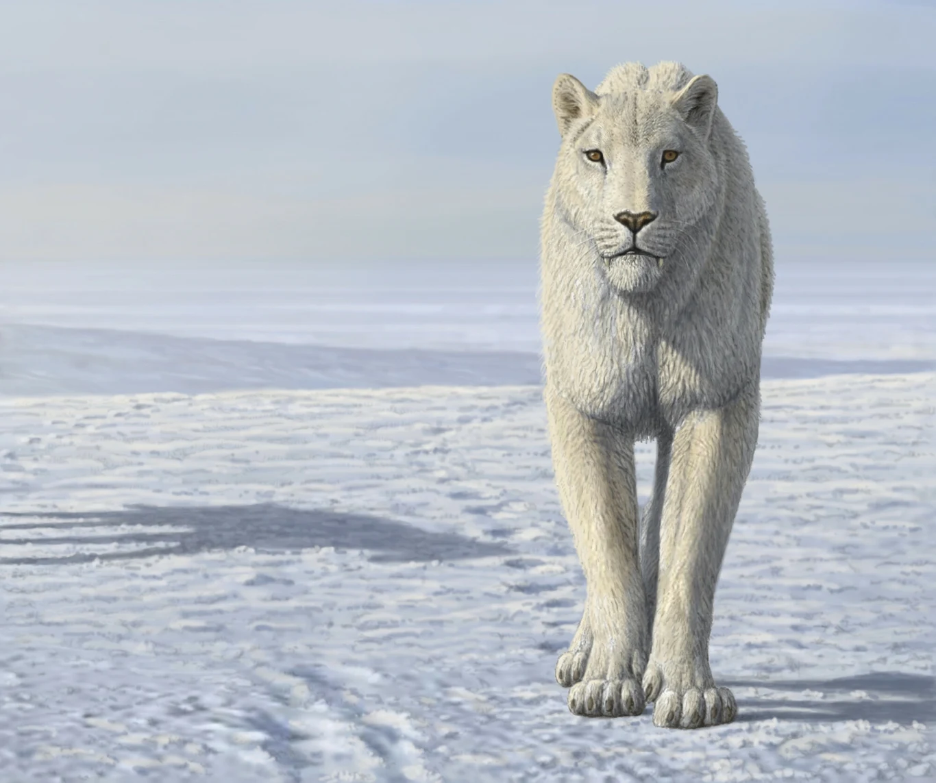 Homotherium żyło także na terenach arktycznych