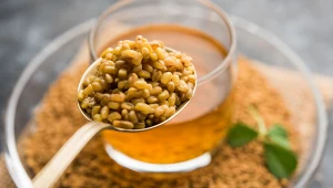 Kozieradka jest dobra na włosy. Jak ją stosować?