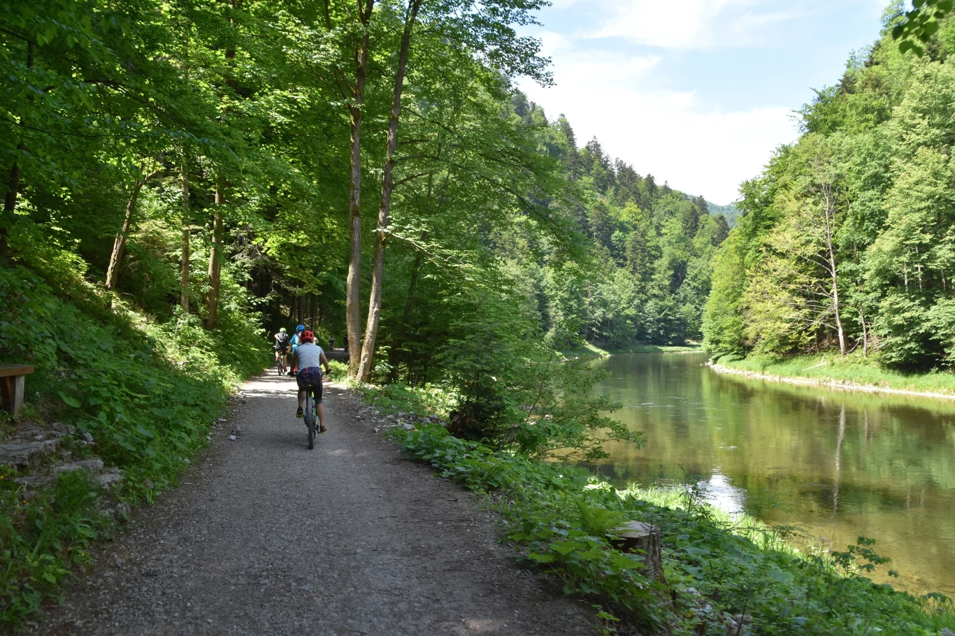 W Pieninach swoje miejsce znajdą też fani dwóch kółek, gdyż liczne trasy rowerowe prowadzą przez urokliwe tereny