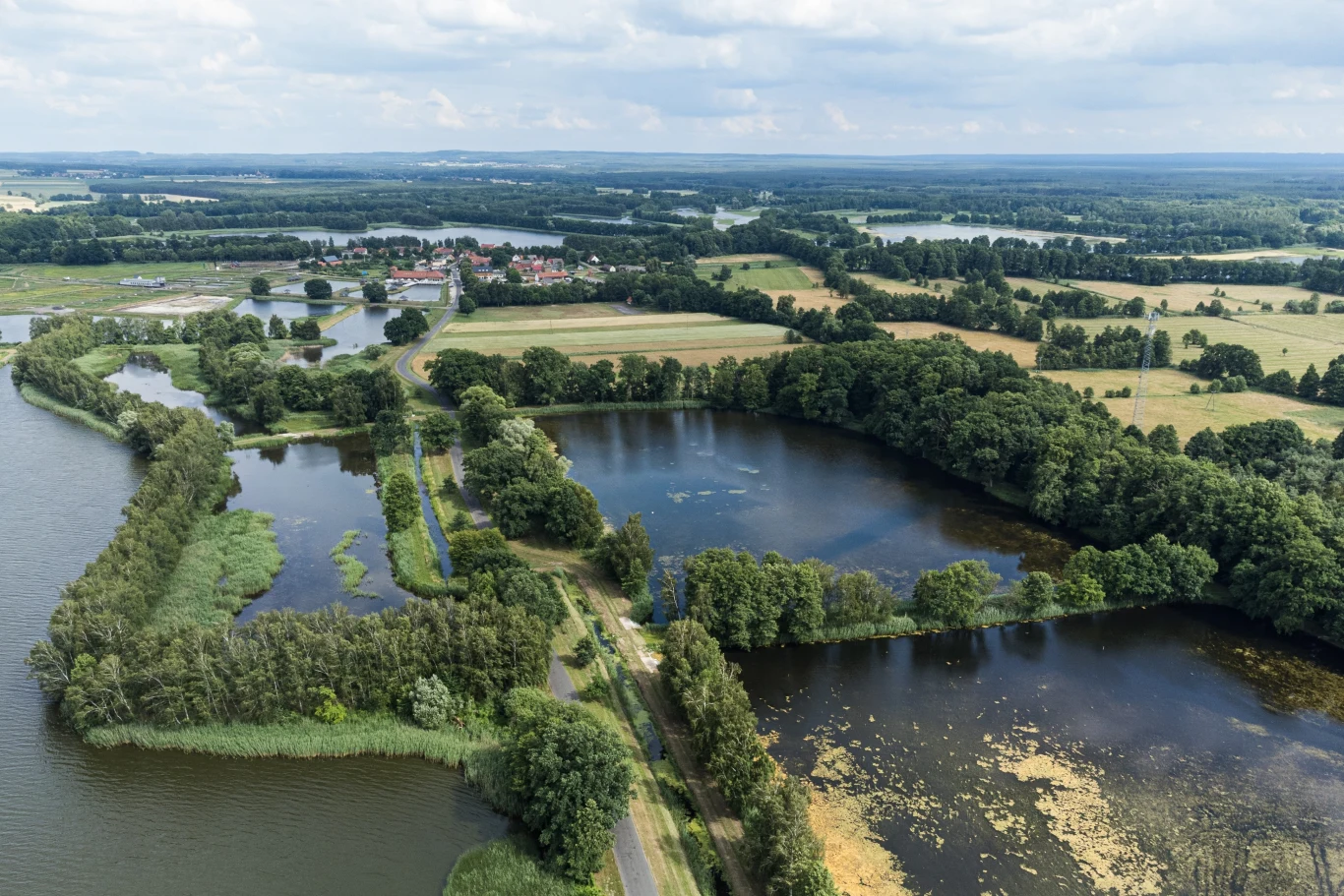 Rezerwat Stawy Milickie to wyjątkowe miejsce w skali Polski i Europy. 
