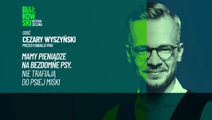 Psi los w Polsce. Kto ciągle blokuje dobrą zmianę dla zwierząt?