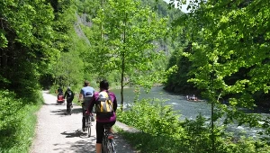 Piękna pętla rowerowa w Pieninach. Takich widoków nie znajdziesz nigdzie indziej 