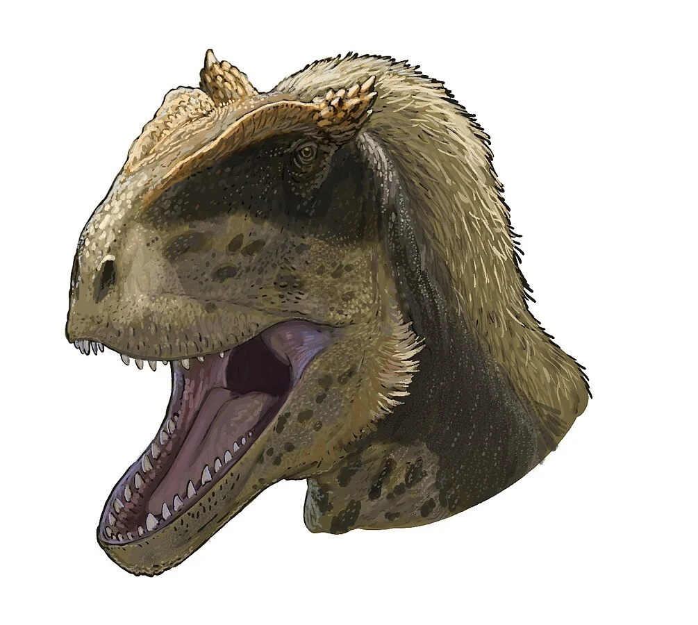 Tak wyglądała głowa alpkarakusza, dinozaura z Kirgistanu