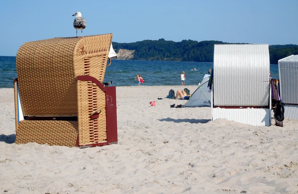 Oto jedna z piaszczystych plaż Rugii