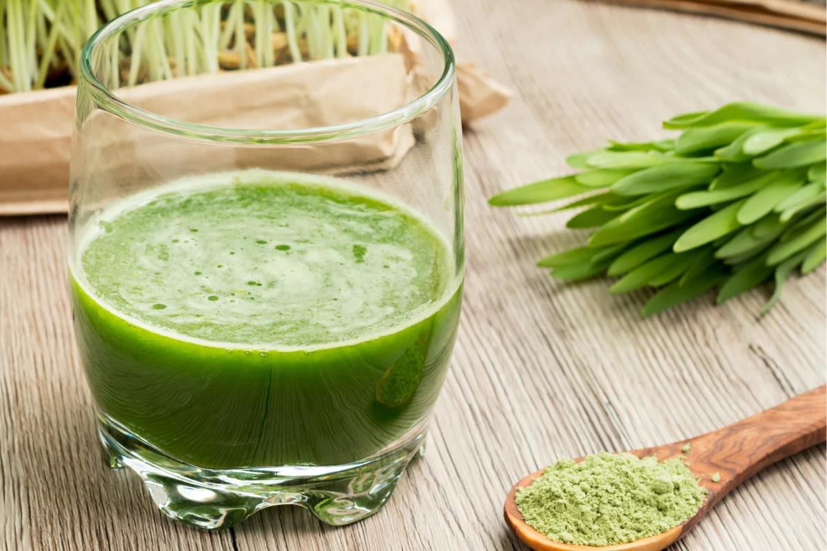 Na co jest dobra trawa jęczmienna? Jak ją stosować? Wyjaśniamy Na co jest dobra trawa jęczmienna? Jak ją stosować? Wyjaśniamy