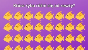 Test na spostrzegawczość: Czy dostrzeżesz różnicę w 5 sekund? Powodzenia!