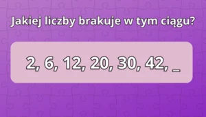 Test na inteligencję: Tylko prawdziwy bystrzak rozwiąże zagadkę w 5 sekund