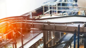 Rozwój AI uderzy w nie rykoszetem. "Poważnie narażone" 25 proc. zawodów