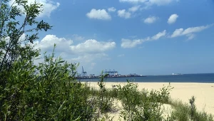 Tu znajduje się najszersza plaża w Polsce. Wygląda jak nad Adriatykiem 