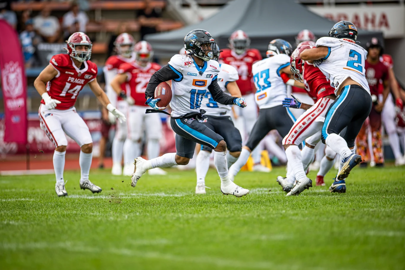 Panthers Wrocław - Prague Lions