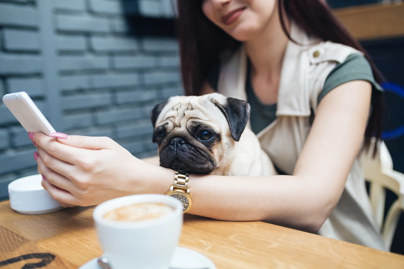 Login i hasło. Imię psa to nie najlepszy pomysł Kobieta z psem wpisująca hasło do telefonu w restauracji