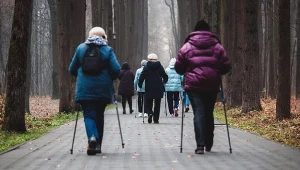 Darmowy Nordic Walking dla seniorów. Tu skorzystasz z bezpłatnych zajęć