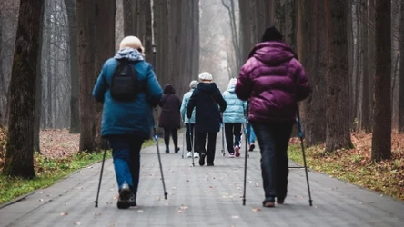 Nordic walking cieszy się dużą popularnością wśród osób w różnym wieku. Projekt "Nordic Walking Senior" to świetny sposób na aktywizację seniorów. Co warto wiedzieć o tym darmowym projekcie?