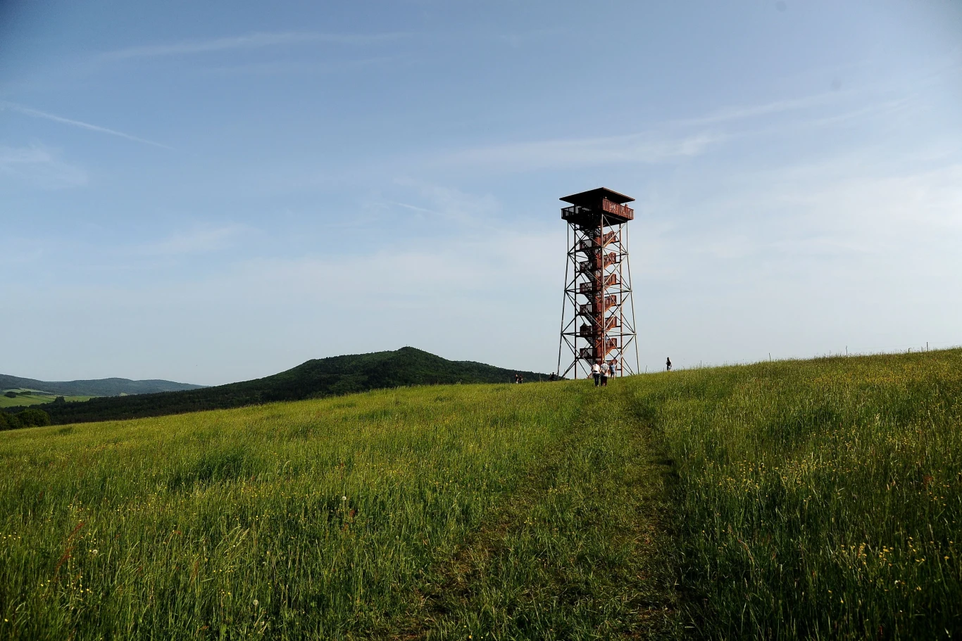 Wieża widokowa na Desznicy to jedno z miejsc na Podkarpaciu, które oferuje malownicze widoki. Wieża widokowa na Desznicy to jedno z miejsc na Podkarpaciu, które oferuje malownicze widoki.