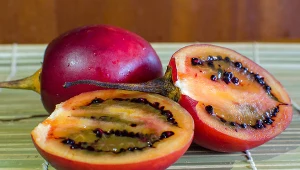 Pomidory drzewiaste zaskakują nie tylko wyglądem, ale również smakiem. A co z ich zdrowotnymi właściwościami?