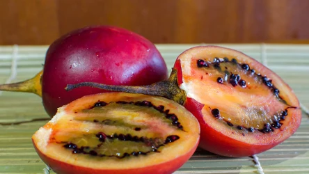 Pomidory drzewiaste zaskakują nie tylko wyglądem, ale również smakiem. A co z ich zdrowotnymi właściwościami?