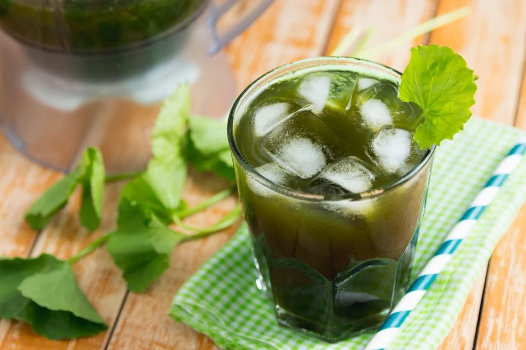 Włączenie gotu kola do diety przyniesie wiele pożytku (fot. Getty Images)