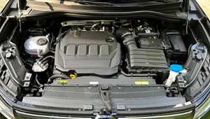 Holendrzy dostaną odszkodowanie od Volkswagena za dieselgate. Co z Polakami?