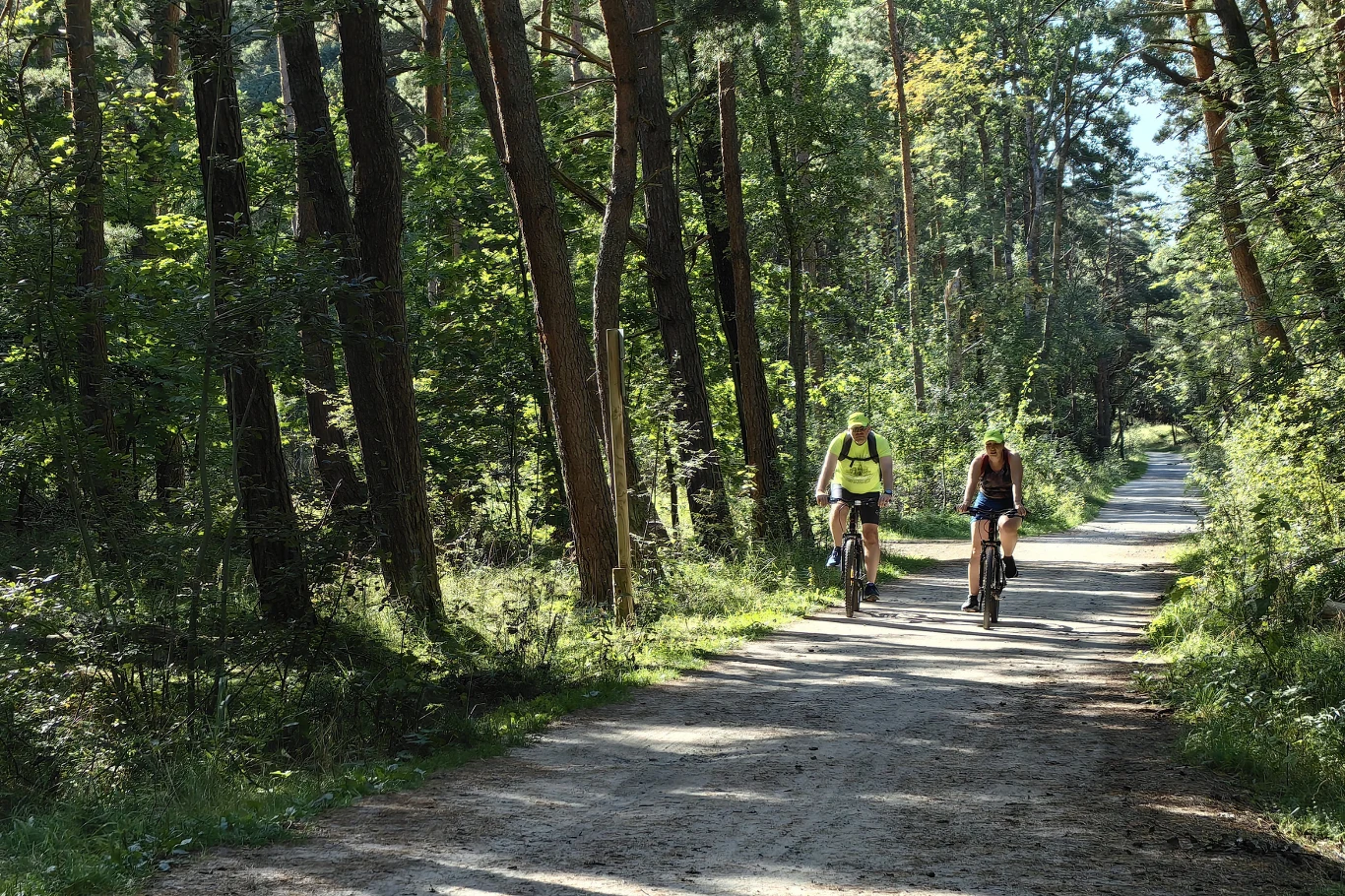 Trasy rowerowe blisko Krakowa? Propozycja Puszczy Niepołomickiej może być strzałem w dziesiątkę.