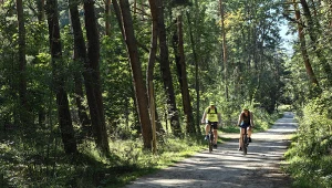 Urokliwa ścieżka rowerowa blisko Krakowa. Sprawdzi się nawet w upalne dni 