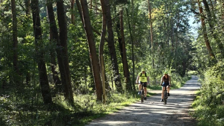 Trasy rowerowe blisko Krakowa? Propozycja Puszczy Niepołomickiej może być strzałem w dziesiątkę.