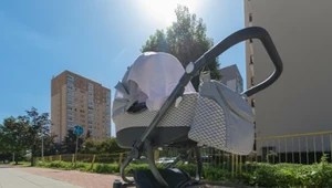 Emerytura po jednym dniu pracy. ZUS tyle wypłaca rodzicom z czwórką dzieci