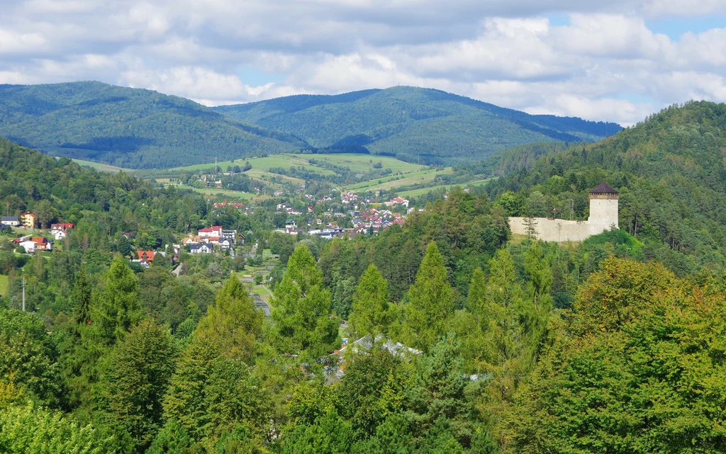 Zamek w Muszynie na tle górskiejgo krajobrazu