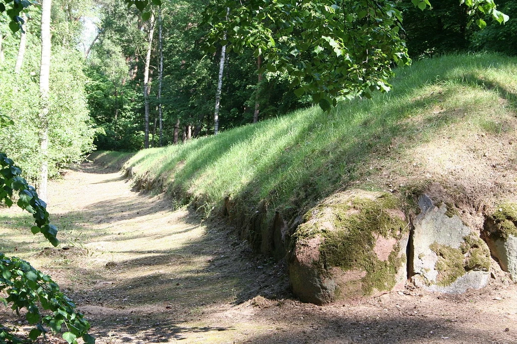 Megalityczny grobowiec w Wietrzychowicach