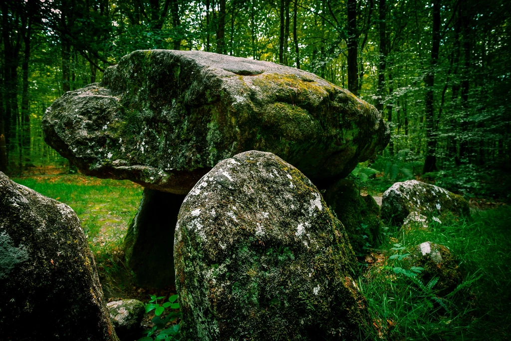 Polska jest pełna prehistorycznych stanowisk (zdjęcie poglądowe)