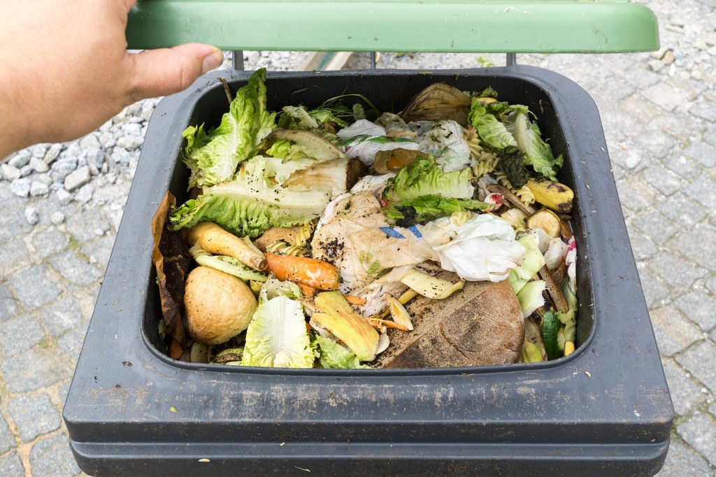 Naukowcy z Uniwersytetu Zielonogórskiego przez 5 lat sprawdzali w Łużyckim Centrum Recyklingu co trafia do kubłów na bioodpady. Śmieci gromadzono z 15 okolicznych gmin, od prawie 300 tysięcy mieszkańców