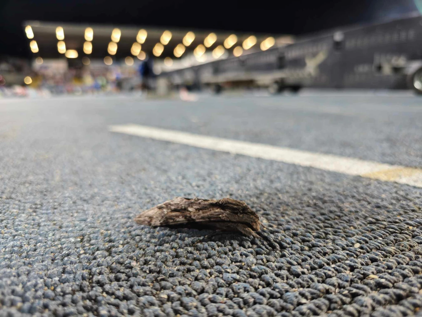 Zawisaki obsiadły stadion w Mielcu Zawisaki obsiadły stadion w Mielcu