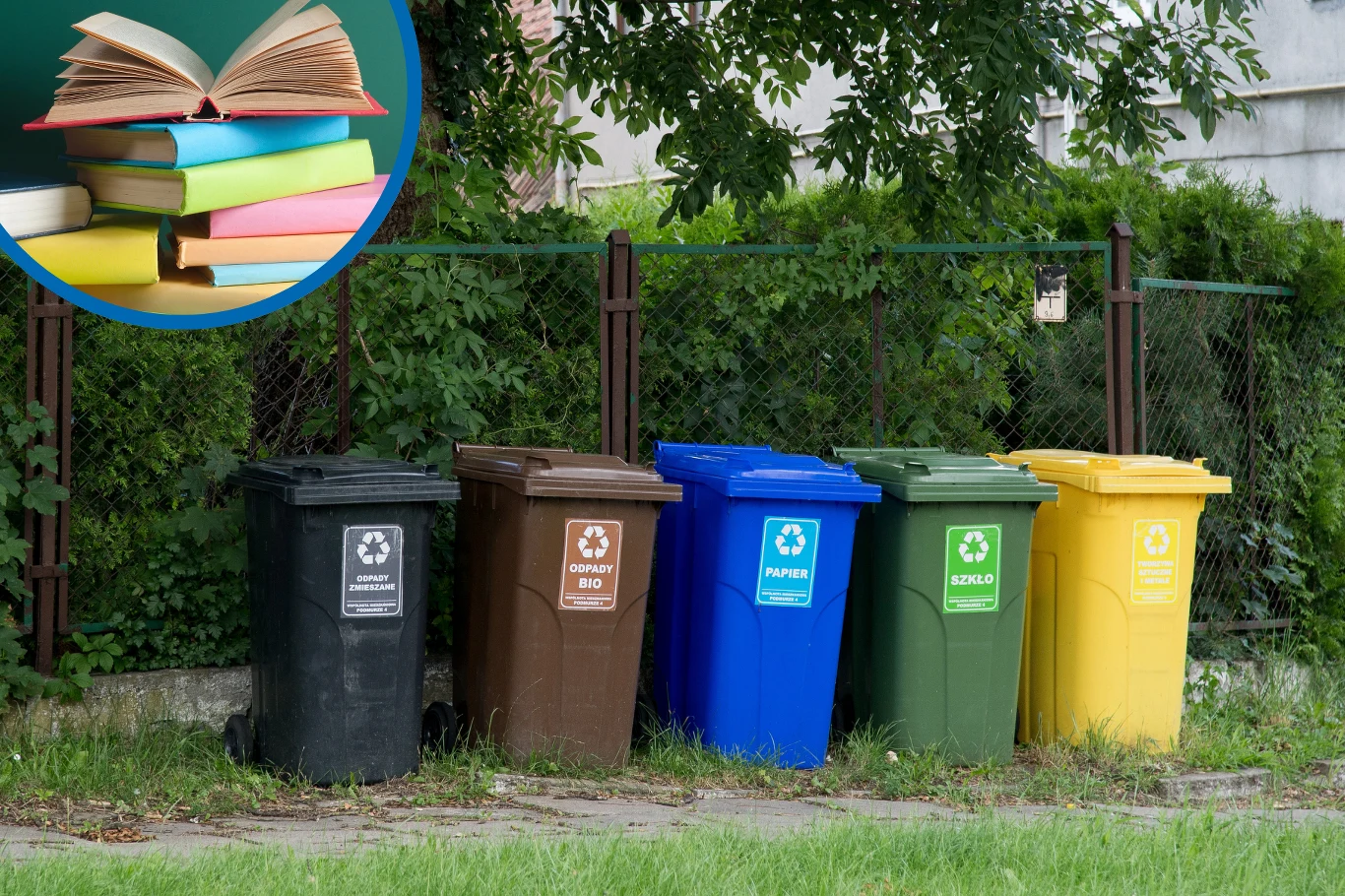 Gdzie wyrzucać stare książki i podręczniki?