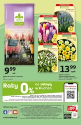 Twój wybór w Auchan  Hipermarket! 