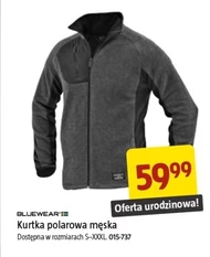 Kurtka męska Bluewear