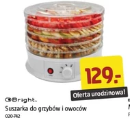 Suszarka do grzybów Bright