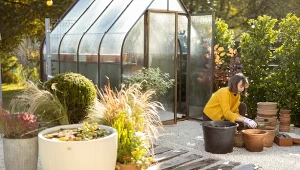 Wcale nie wiosną. Teraz jest najlepszy czas na tę inwestycję w ogrodzie 