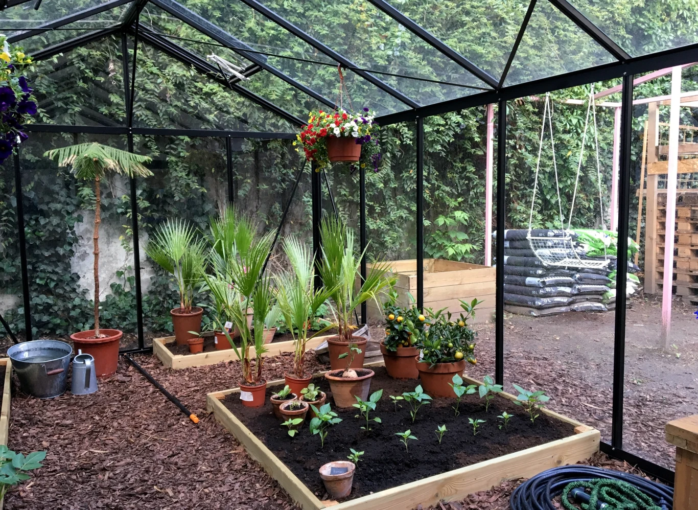 Zakup szklarni jesienią to możliwość pełnego wykorzystania sezonu. Zakup szklarni jesienią to możliwość pełnego wykorzystania sezonu.