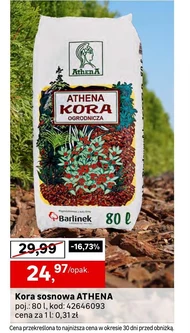 Соснова кора Athena