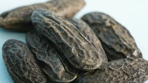 Fasola tonka znajduje zastosowanie m.in. w przemyśle cukierniczym i kosmetycznym