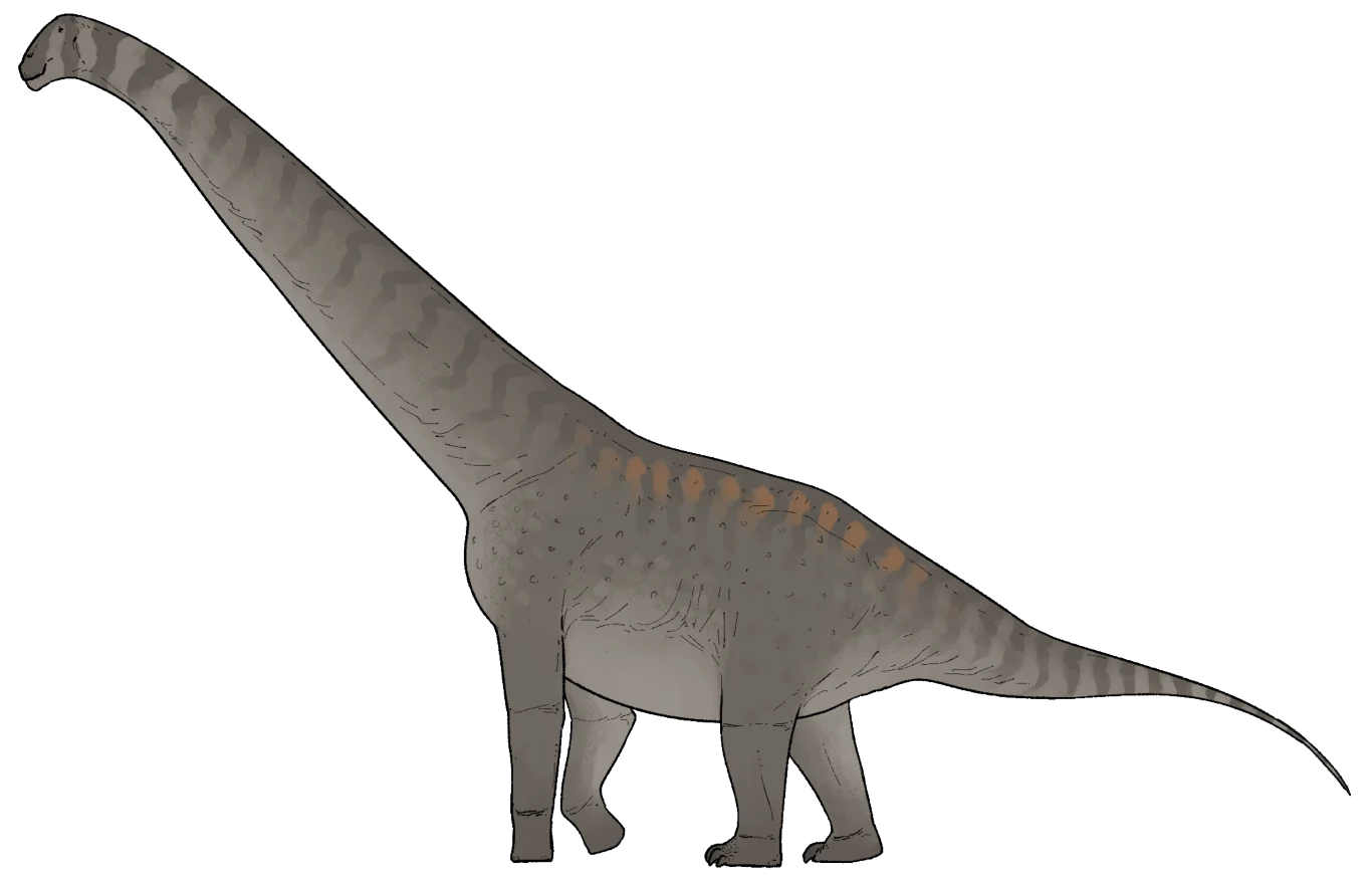 Tak wyglądała kuinkazaura Tak wyglądała kuinkazaura