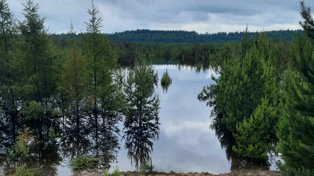 Zalane lasy to nie wszystko. Zalewiska osiągają znaczne rozmiary i mogą oddziaływać na infrastrukturę.