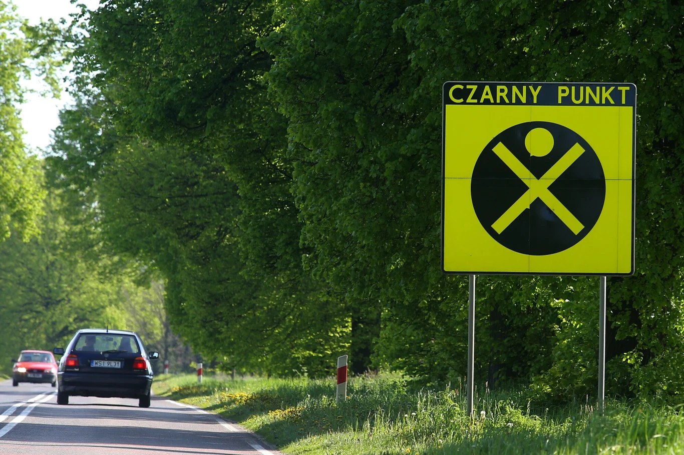 Czarny punkt przy polskiej drodze.