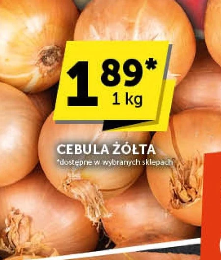 Cebula